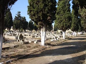 ORAN 10 2005 064 CIMETIERE DE TAMAZHOUET QUELQUES TOMBES